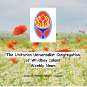 Poppies enews